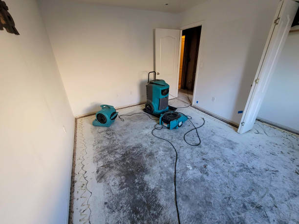 Best 24-hour water damage restoration  in The Hideout, PA