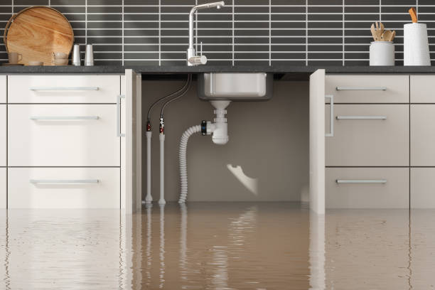 Best Fire Damage Restoration  in The Hideout, PA
