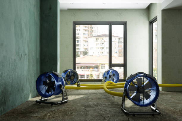 Best Ceiling water damage repair  in The Hideout, PA